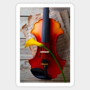 Yellow Calla lily Through The Strings Of A Violin Sticker